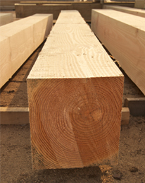 Siberian Larch Sawn Timber 200 mm Thick Solid Wood Fencing www.solidwoodfencing.co.uk